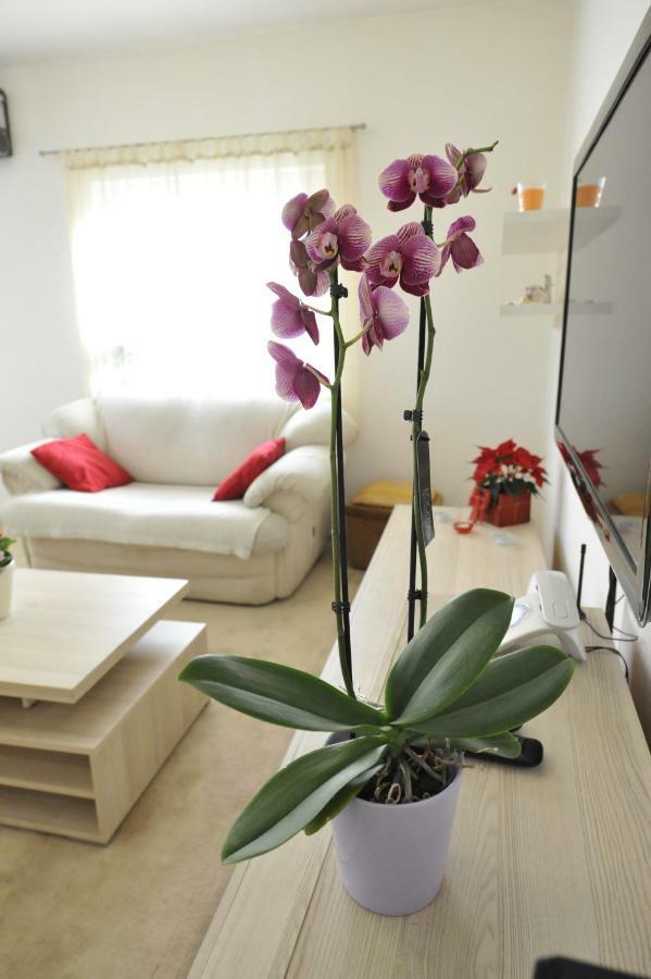 Vlatka Apartman Сплит Экстерьер фото